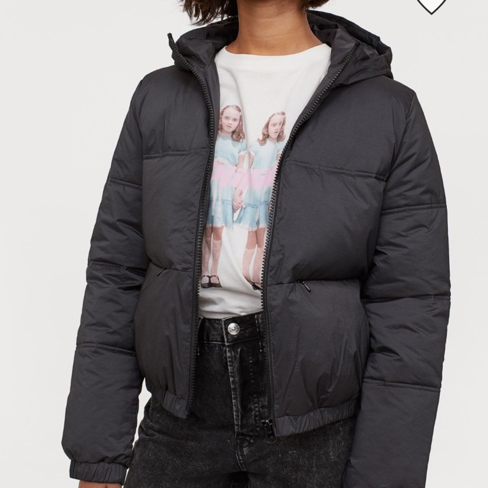 Hooded Puffer